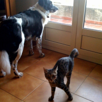Photo #226356 de Culombu