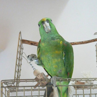 Photo #226445 de Tanguy