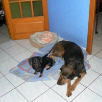 Photo #226460 de Ruby