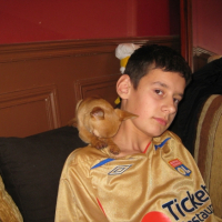 Photo #226465 de Dingo