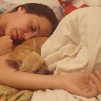 Photo #226480 de China