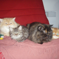 Photo #226502 de Lilou