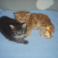 Photo #226504 de Lilou