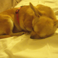 Photo #226565 de China