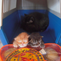 Photo #226566 de Lilou
