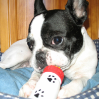 Photo #226636 de Tequila
