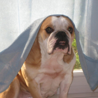 Photo #226713 de Aya