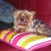 charly