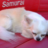 DSCF3440_800x600_