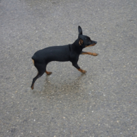 Photo #226741 de Lola