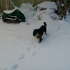 dans la neige
