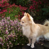 Photo #226813 de Gucci