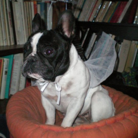 Photo #226862 de Unik