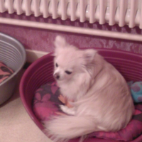 Photo #227088 de Micky