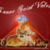 valentine 2010