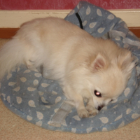 Photo #227114 de Micky
