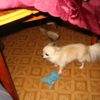 Photo #227117 de Micky