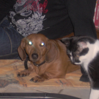 Photo #227128 de Prisca