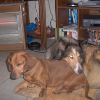 Photo #227132 de Prisca