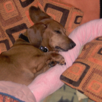 Photo #227134 de Prisca