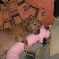 Photo #227137 de Prisca