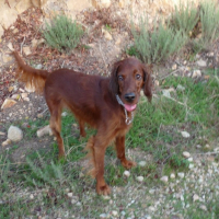 Photo #227143 de Cannelle