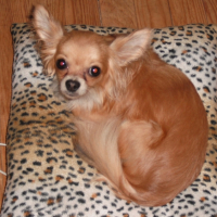 Photo #227149 de Djerry