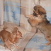 DSCF0824