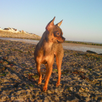Photo #227290 de Tequila