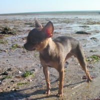 Photo #227291 de Tequila