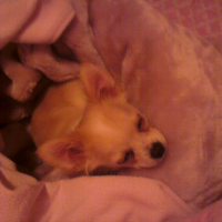 Photo #227300 de Kiki