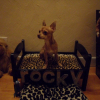 SAM_0676