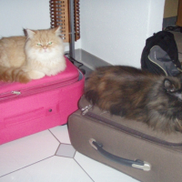 Photo #227346 de Lilou
