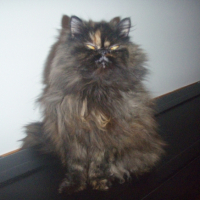 Photo #227349 de Lilou
