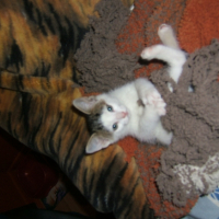 Photo #227357 de Arnaud