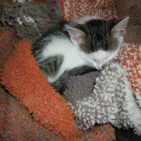 Photo #227358 de Arnaud