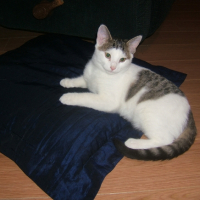 Photo #227359 de Arnaud