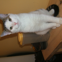 Photo #227360 de Arnaud