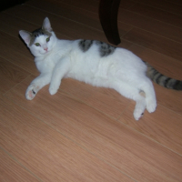 Photo #227361 de Arnaud