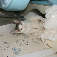 Photo #227362 de Arnaud