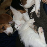 Photo #227379 de Rosie