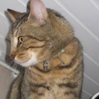 Photo #227542 de Caramel