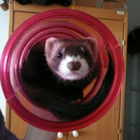 Photo #227579 de Lilou