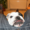 DSCF9225