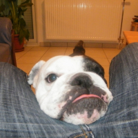 Photo #227585 de Café