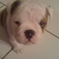 Photo #227637 de Easy