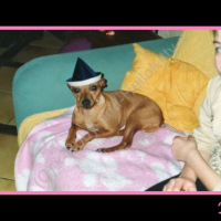 Photo #227864 de Roby