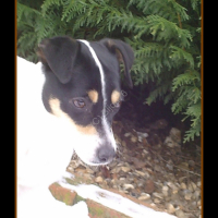Photo #227895 de Lola