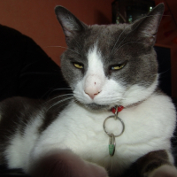 Photo #227903 de Filou