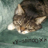 Photo #227947 de Figaro